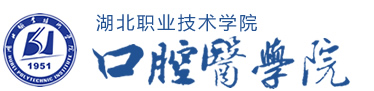 2026世界杯官网